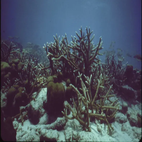 j View of the deep ocean.