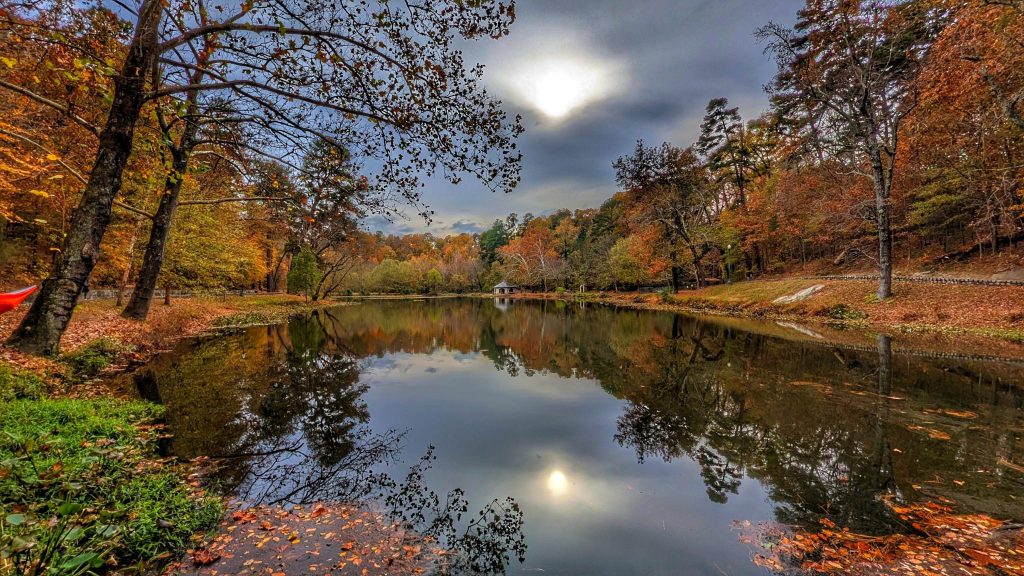 Forest Hill Park