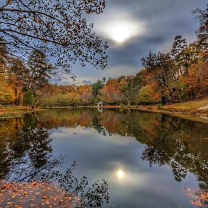 Forest Hill Park